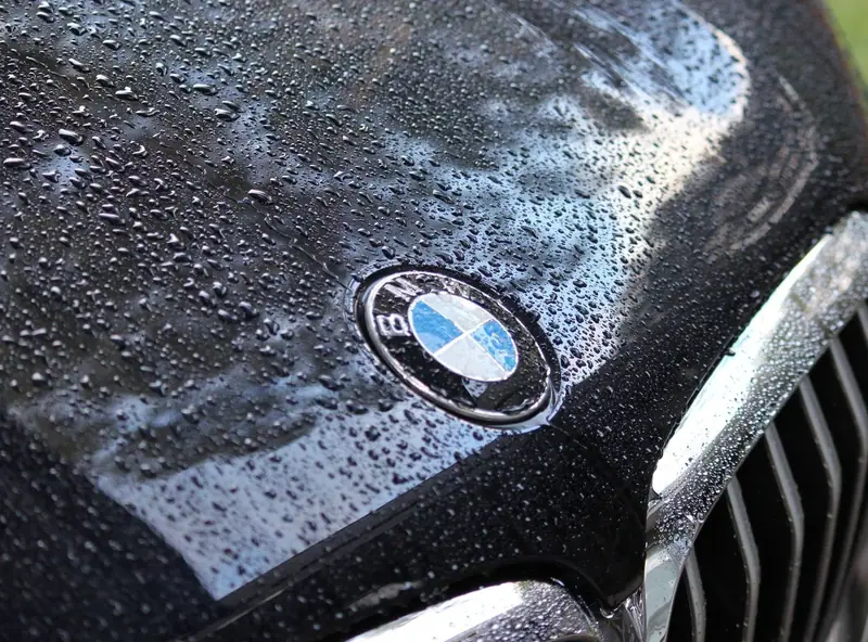Tight water beads across a gloss-black hood after a ceramic coating