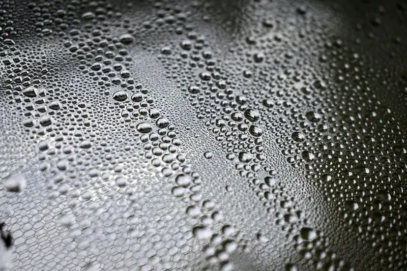 Macro of uniform water beads on coated paint
