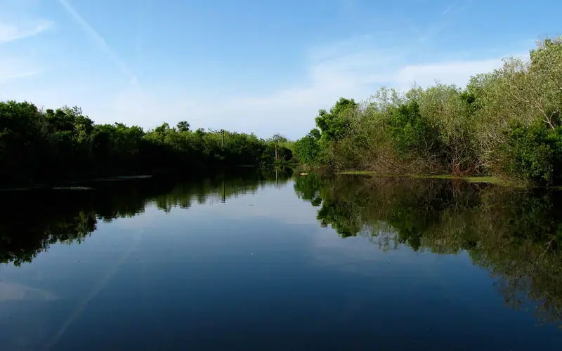 Still water and green banks in Ponte Vedra, Florida